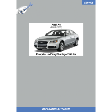 Audi A4 (2000-2008) Reparaturleitfaden Einspritz-und Vorglühanlage 2,5 Liter TDI