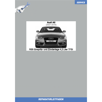 Audi RS5 (2007-2016) Reparaturleitfaden Einspritz- und Zündanlage 4,2 Liter