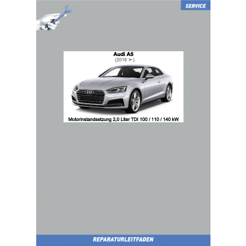 Audi A5 (2016 ➤) Motorinstandsetzung 2,0 Liter TDI 100 / 110 / 140 kW