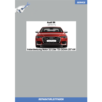 Audi S6 (2018 ➤) Instandsetzung Motor 3,0 Liter TDI DEWA 257 kW