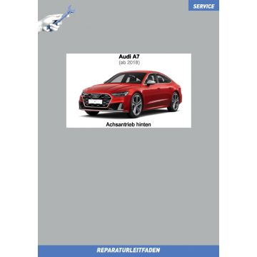 Audi A7 (ab 2018) Reparaturleitfaden Achsantrieb hinten