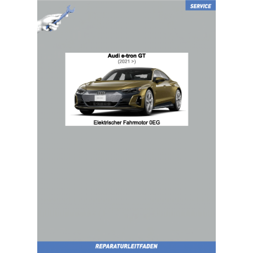 Audi e-tron GT (2021>) Reparaturleitfaden Elektromotor 0EG