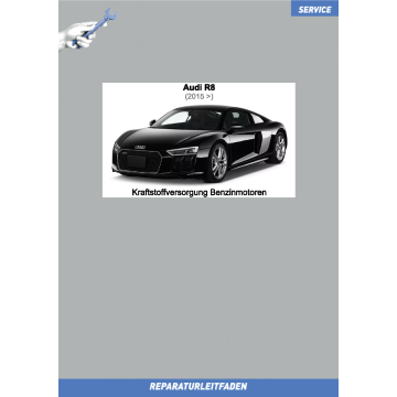 Audi R8 (2015 >) Reparaturleitfaden Kraftstoffversorgung Benzinmotoren