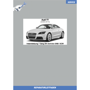 Audi TT (2006-2014) Instandsetzung 7 Gang Doppelkupplungsgetriebe 0AM / 0CW 