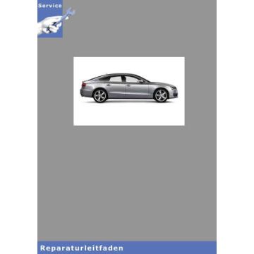 Audi A5 8T (07>) 6-Zyl. TDI  2,7l und 3,0l 4V Einspritz- und Vorglühanlage