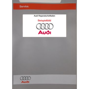 Audi A4 B5 (94-01) Reparaturleitfaden Einspritz- und Vorglühanlage1,9 TDI  55/66 kW