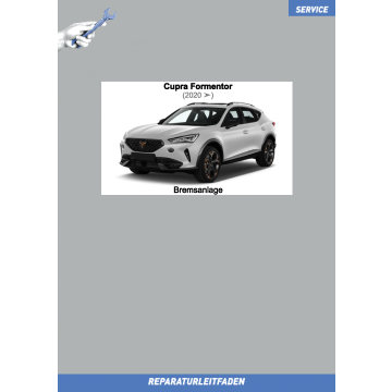 Cupra Formentor (2020 ➤) Reparaturleitfaden Bremsen Bremsanlage