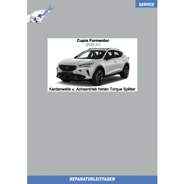 Cupra Formentor (2020 ➤) Reparaturleitfaden Kardanwelle u. Achsantrieb hinten Torque Splitter