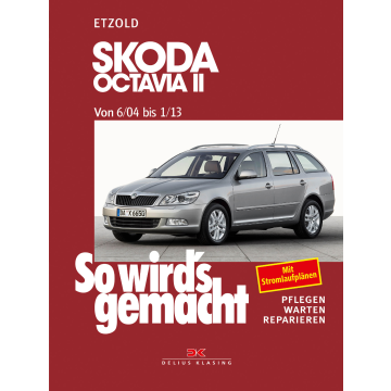 Skoda Octavia 2 (04-13) Reparaturanleitung So wirds gemacht