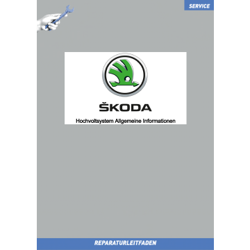 Skoda Hochvoltsystem Allgemeine Informationen