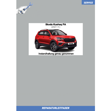Skoda Kushaq (2021 ➤) Reparaturleitfaden Instandhaltung Inspektion Service
