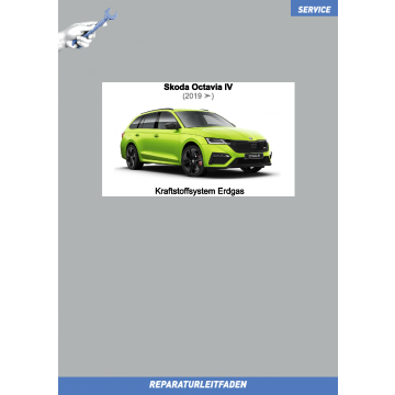 Skoda Octavia 4 (2019 ➤) Reparaturleitfaden Kraftstoffsystem Erdgas