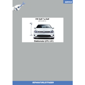 VW Golf 7 e-Golf (14-17) Reparaturleitfaden Elektromotor 270 LS1