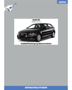 Audi A3 8P - Kraftstoffversorgung für Ottomotoren - Reparaturleitfaden