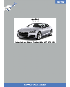 audi-a5-f5-28a-instandsetzung_6_gang_schaltgetriebe_0cs_0dj_0cx_1.png