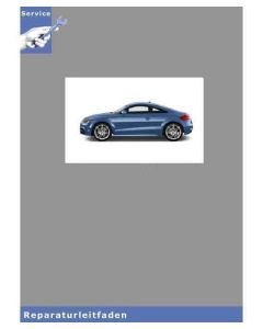 audi_tt_8j_16_1.jpg