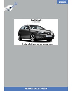 seat-ibiza-6l-01-instandhaltung_genau_genommen_1.png