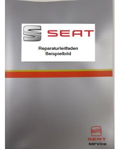 Seat Alhambra 7M (96-10) Fahrwerk Eigendiagnose für ABS -Reparaturleitfaden