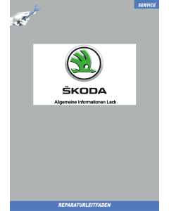 skoda-allg-005-allgemeine_informationen_lack.png