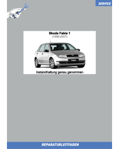 skoda-fabia-1-001-instandhaltung_genau_genommen_1_5.png