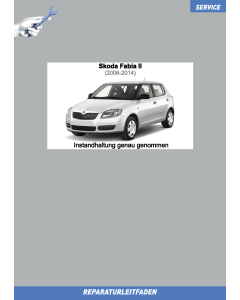 skoda-fabia-2-001-instandhaltung_genau_genommen_1.png