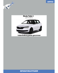 skoda-fabia-3-001-instandhaltung_genau_genommen_1.png