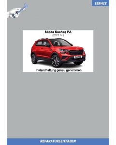 skoda-kushaq-pa-01-instandhaltung_genau_genommen_1.png