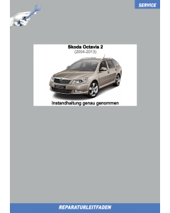 skoda-octavia-2-001-instandhaltung_genau_genommen_1.png