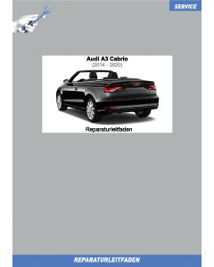 Audi A3 Cabriolet Kommunikation - Reparaturleitfaden