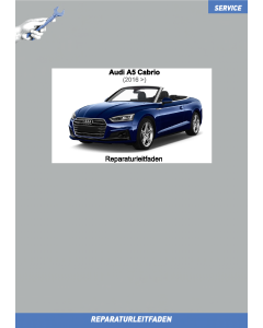 Audi A5 Cabriolet Elektrische Anlage - Reparaturleitfaden