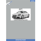 Audi TT (2006-2014) Reparaturleitfaden Kraftstoffversorgung Dieselmotoren